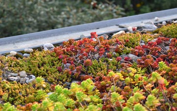 the cost of Pamber End green roof installation