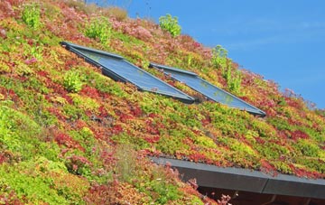 Pamber End living roof systems